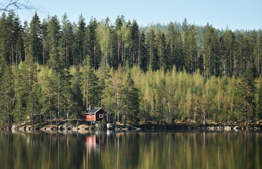Lake cabin surrounded by trees