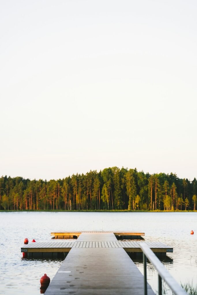 Calm lake with a dock, surrounded by trees